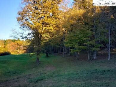 TBD Crestview Mountain Dr, Ennice, NC 28623 - photo 7