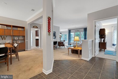 1013 Samantha Ln unit 302, Odenton, MD 21113 - photo 3