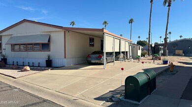 Photo Oct 31 2025, 10 04 20 AM