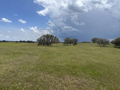 01 W Highway 328, Dunnellon, FL 34432 - photo 7