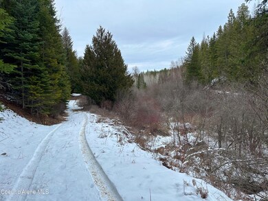 nna Holmes Rd, Bonners Ferry, ID 83805 - photo 7