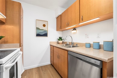 Kitchen sink, new dishwasher