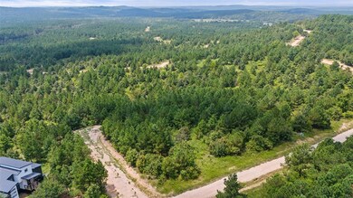 411 Kaisley Blue Eye Way, Broken Bow, OK 74728 - photo 2