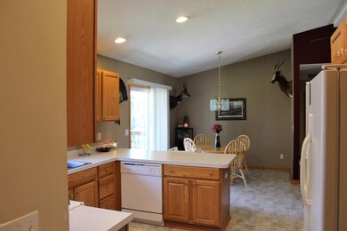 IMG_3716 (2)