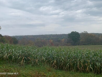 IMG_0428