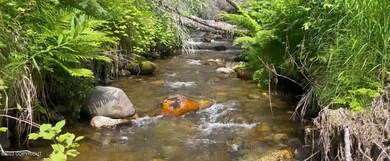IMG-5700