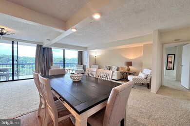 Chelsea Towers unit 1006, Bethesda, MD 20817 - photo 3