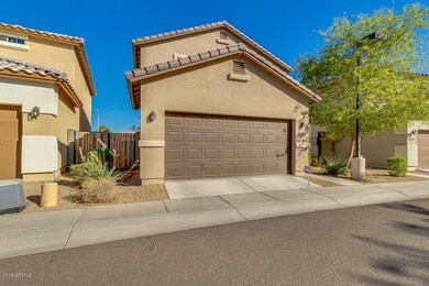 02-Camelback