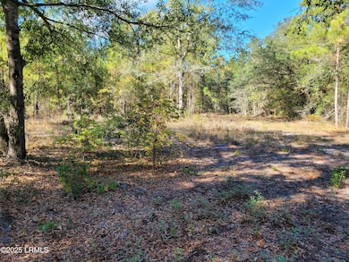 TBD Beavers Rd, Ridgeland, SC 29936 - photo 3