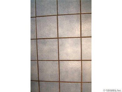 Other. Ceramic Flooring