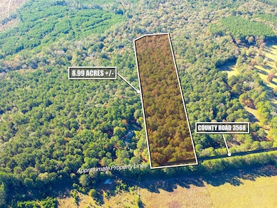 TBD County Road 3568, Woodville, TX 75979 - photo 2