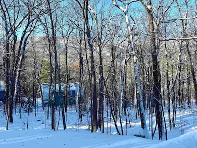 262 Beechnut Dr, North Conway, NH 03860 - photo 3