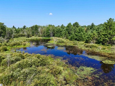 00 W Arnold Rd, Manton, MI 49663 - photo 5