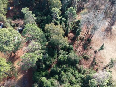 0 Blake Drive and Off Highway 401 Dr, Raeford, NC 28376 - photo 5