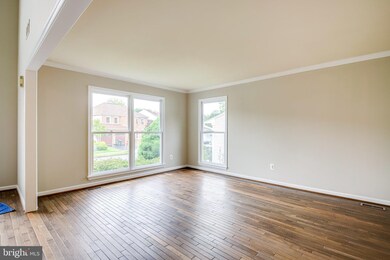 13610 Clary Sage Dr, Chantilly, VA 20151 - photo 6