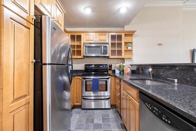 80 W Concord St unit 3, Boston, MA 02118 - photo 6