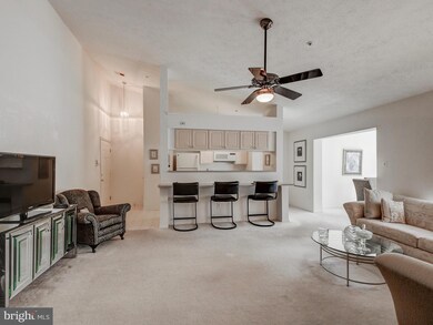 3235 Katewood Ct unit 2, Baltimore, MD 21209 - photo 5