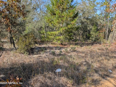 0570-0020 Violet Ave, Interlachen, FL 32148 - photo 3