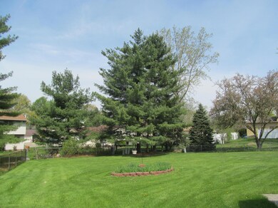 Backyard View