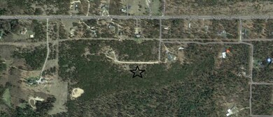 Trapper's Trail Crossroads