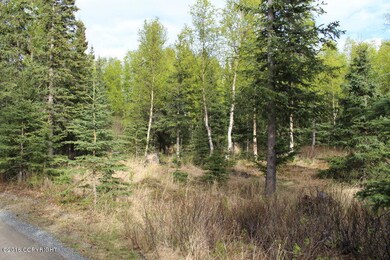 IMG_5033_5