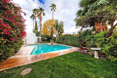 Yard and Pool
