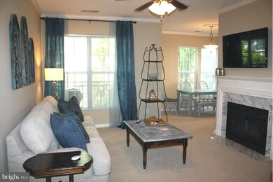 46590 Drysdale Terrace unit 203, Sterling, VA 20165 - photo 2