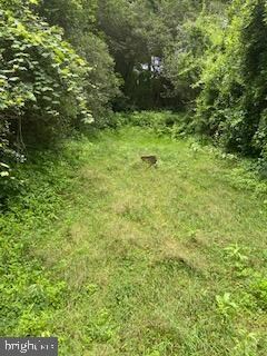 526 E Front St, Lansford, PA 18232 - photo 4