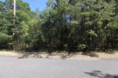 4600 Indian Cabin Rd, Hammonton, NJ 08037 - photo 6