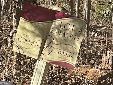 1612 Golden Creek Ct SW, Conyers, GA 30094 - photo 2