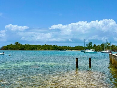 0 Isleta Marina unit 60778, Fajardo, PR 00738 - photo 5