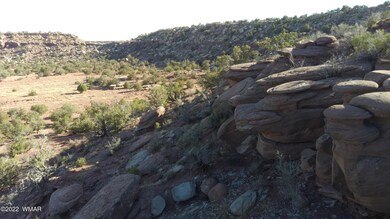 Top of mesa view to the north