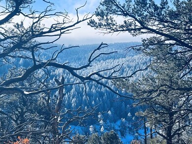 33020 Meadow Ct, Trinidad, CO 81082 - photo 2