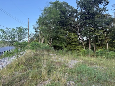 490 Freedom Crider Rd, Freedom, PA 15042 - photo 3