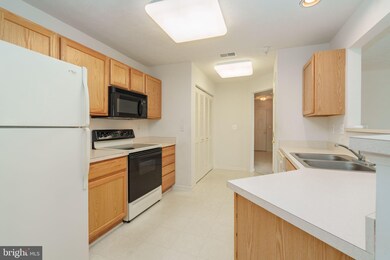 19 Brook Farm Ct unit E, Perry Hall, MD 21128 - photo 6