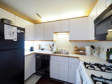 2 Chestnut St unit 32, Cambridge, MA 02139 - photo 3
