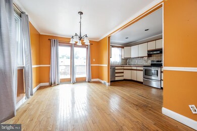 257 Cheswold Rd, Drexel Hill, PA 19026 - photo 5