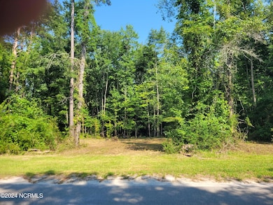 454 Creekview Ln, Leland, NC 28451 - photo 2