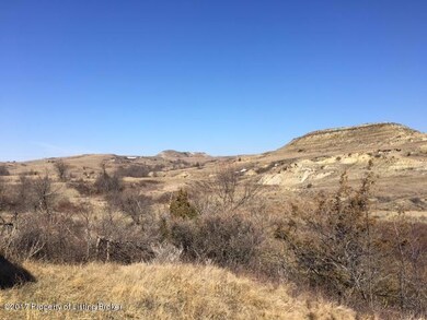 3363 Buffalo Gap Rd, Sentinel Butte, ND 58654 - photo 5