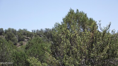 DSCF6959