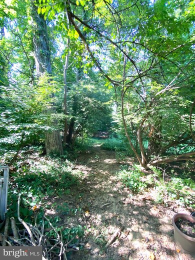 6834 Woodland Dr, Falls Church, VA 22046 - photo 4