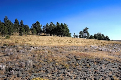 9128B Elkhorn Rd, Hartsel, CO 80449 - photo 7