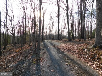 1716 Harpers Ferry Rd, Knoxville, MD 21758 - photo 4