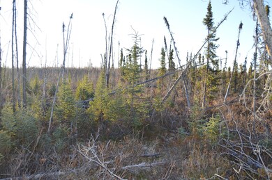 4082 Pond Lily Ln, Wasilla, AK 99654 - photo 5