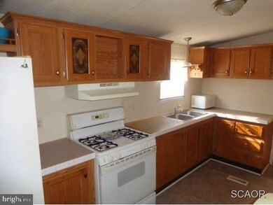 24180 Brach St, Georgetown, DE 19947 - photo 7