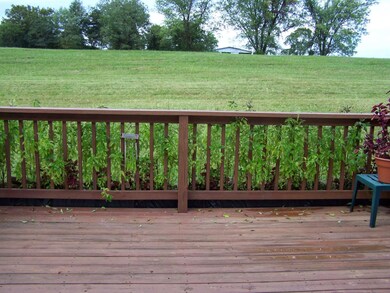 deck backyard