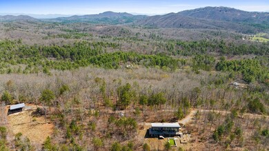 40A Synacia Dr, Mineral Bluff, GA 30559 - photo 5