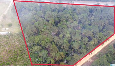 0 Opp Hwy, Dozier, AL 36028 - photo 2