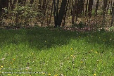 2645 Navigator Ln, Lansing, MI 48911 - photo 4