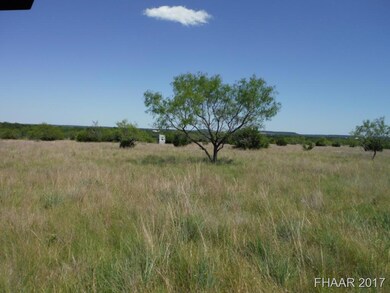 Tract 15 Private Road 3642, Copperas Cove, TX 76522 - photo 3